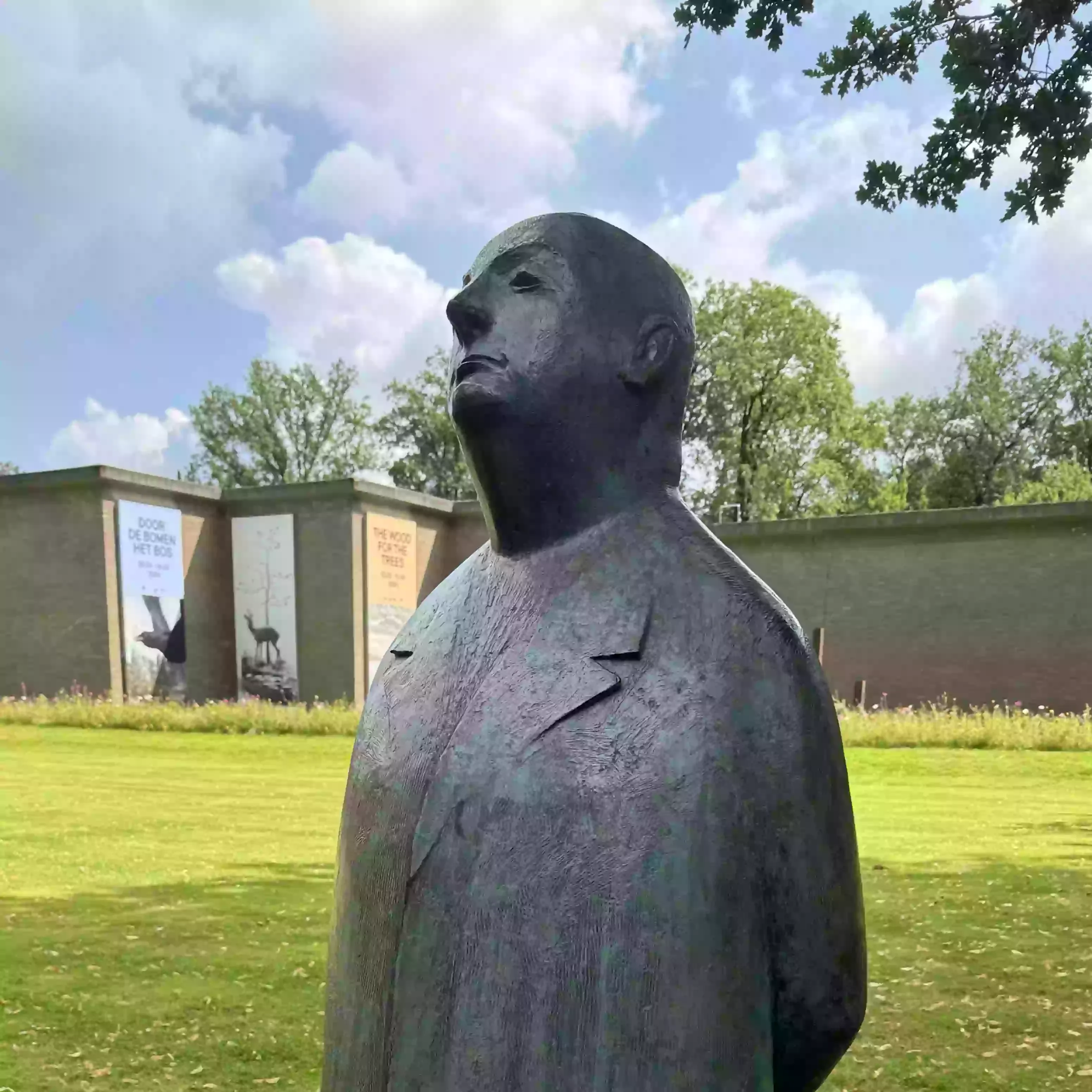 A beautiful cover image